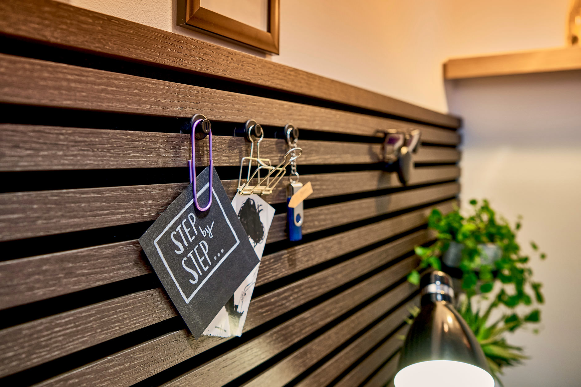 Ter Hürne Living Wall Function Kunststoffknopf Dolf, Schwarz